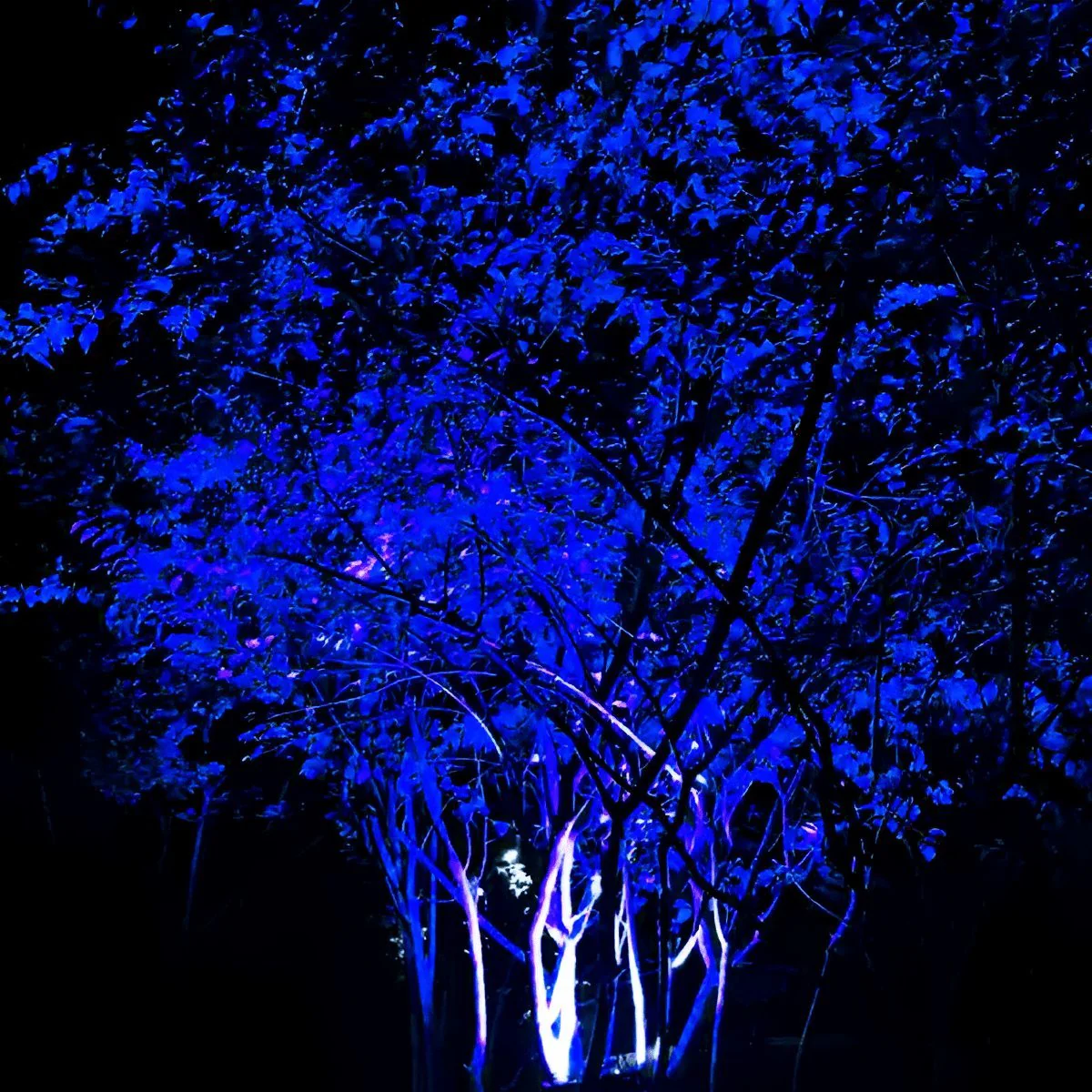 Waterproof Outdoor Landscape RGB Tree Spot Light - Image 4