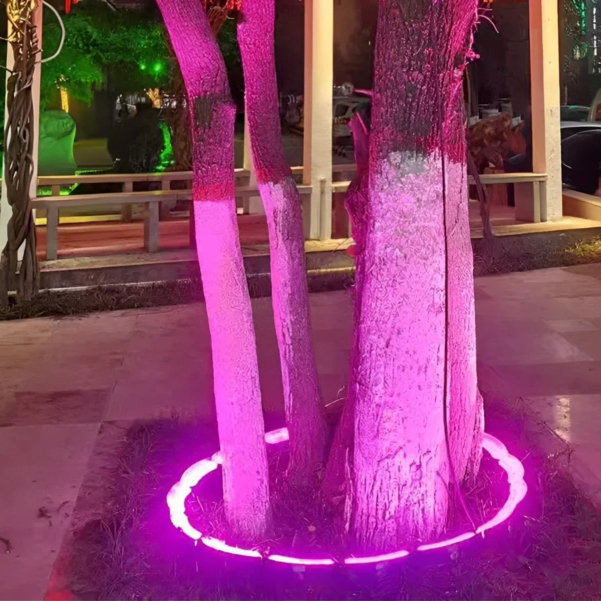 24V Low Voltage Tree Lights Outdoor — Waterproof LED Arc Spot Lights for Gardens - Image 8