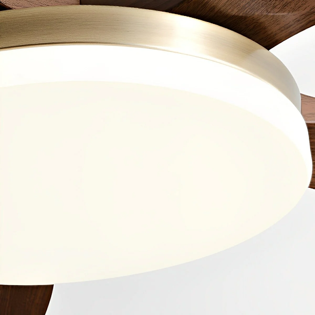 Modern Minimalist 3-Blades DC Motor Reverse Full-Spectrum LED Ceiling Fan Light - Image 5