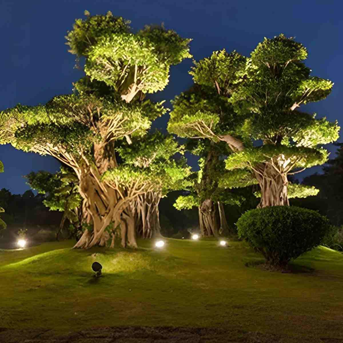DC24V Outdoor Waterproof LED Spot Lights Trees Lights - Image 3