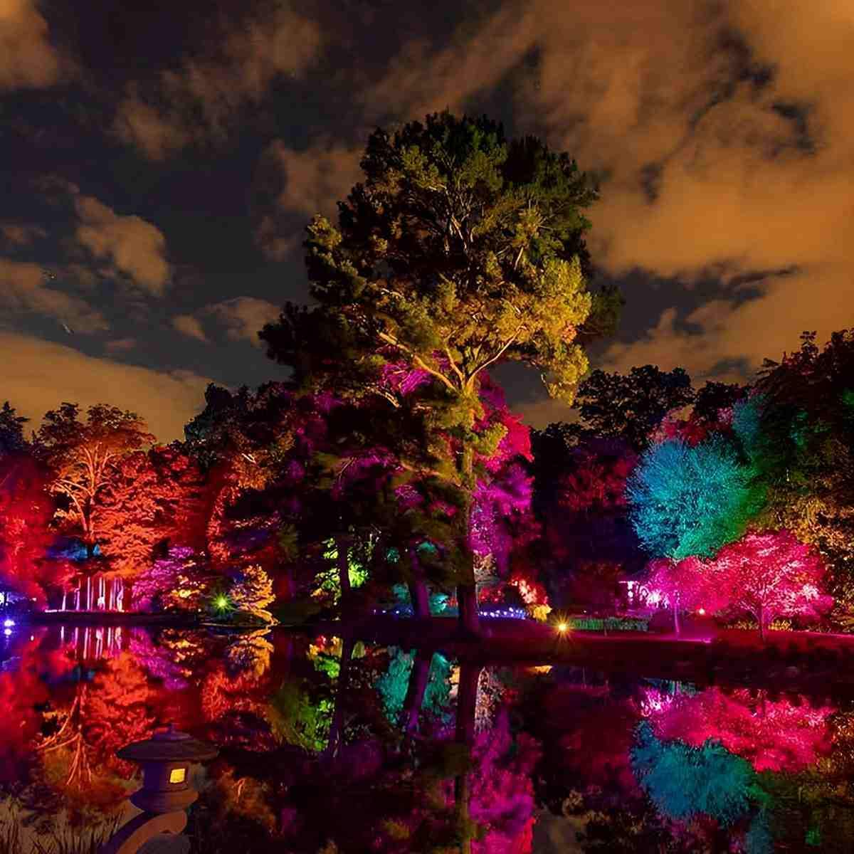 Outdoor Waterproof RGB LED Spot Lights Trees Lights - Image 8